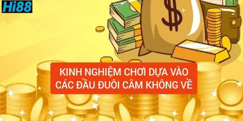 kinh-nghiem-choi-dua-vao-cac-dau-duoi-cam-khong-ve