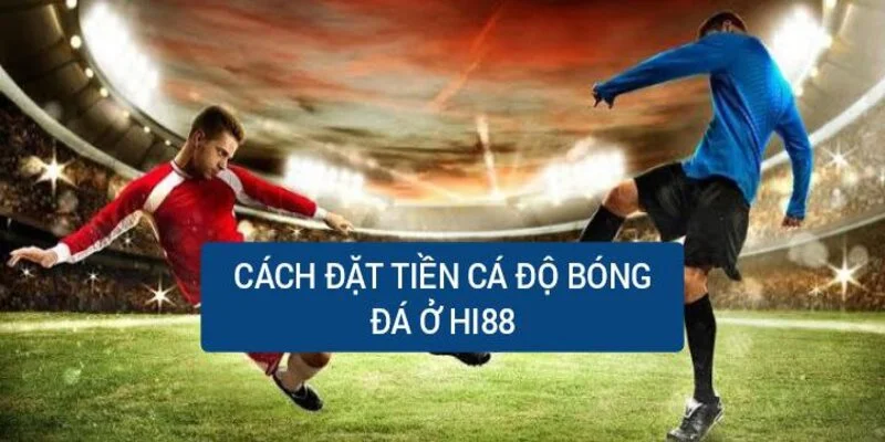 cach-dat-tien-ca-do-bong-da-o-nha-cai-hi88