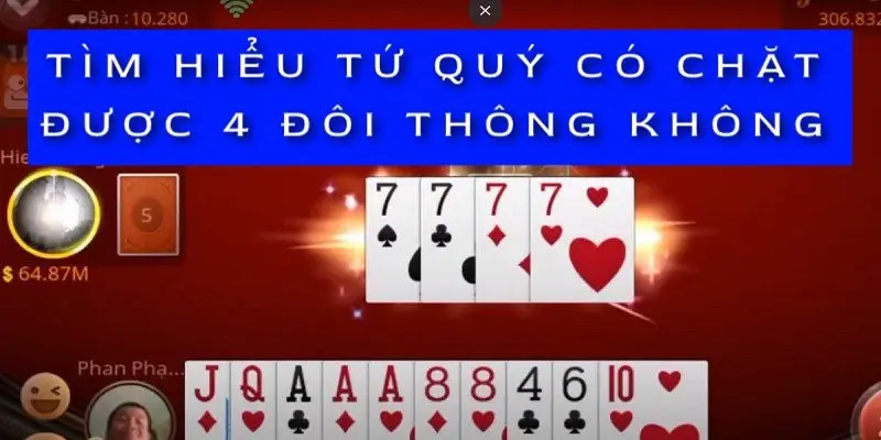 tim-hieu-tu-quy-co-chat-duoc-4-doi-khong